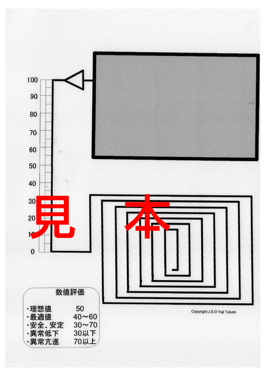 大注目 Se5 ラジオニクス 波動測定 その他 1000bocados Com Br